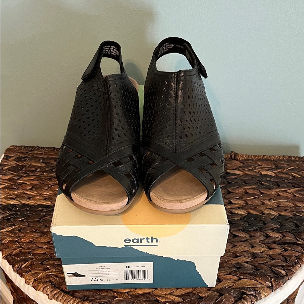 Earth Women's Black Perforated Sandals